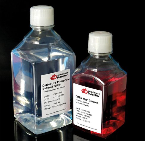 Solution saline tampon phosphate dulbecco sans calcium sans magnesium 500 mL