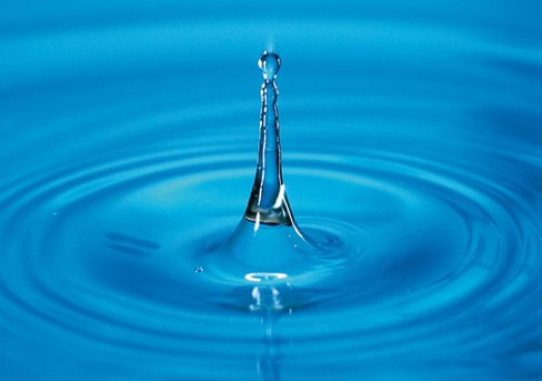 Eau pour culture de cellules apyrogene 1000 mL