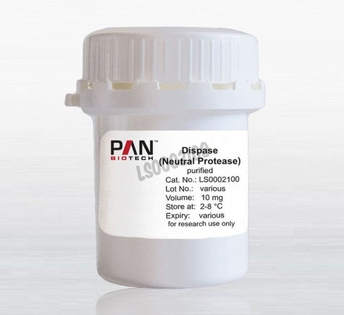 Dispase purifiee proteases neutres 10 mg