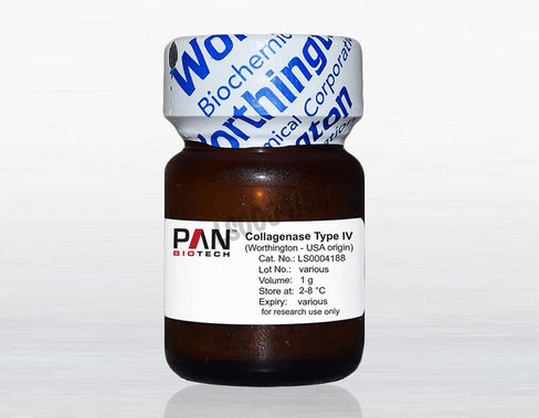 Collagenase iv (worthington-usa) 1 g