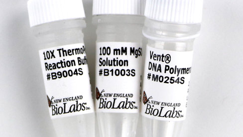 Vent dna polymerase 200 unités