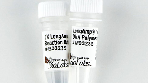 Longamp taq dna polymerase 2500 unités