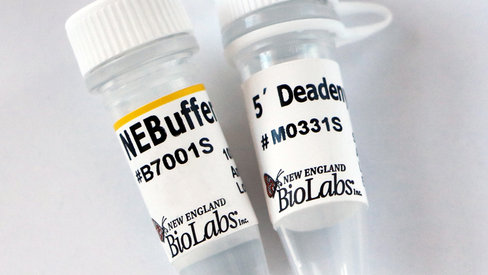 5 deadenylase 2500 unités