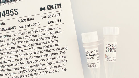 Hot start taq dna polymerase (standard taq buffer) 1000 unités