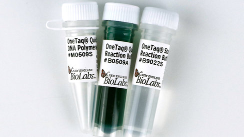 Onetaq quick-load dna polymerase 500 unités