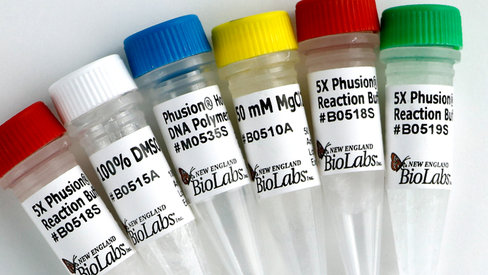 Phusion hot start flex dna polymerase 500 unités