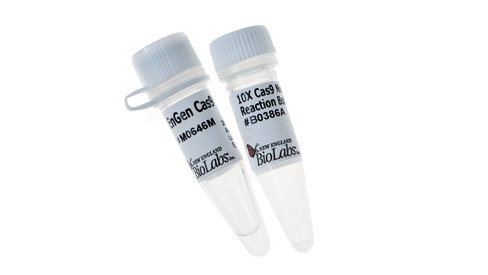 Engen cas9 nls s. pyogenes 500 pmol