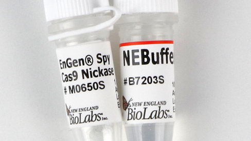Engen spy cas9 nickase 70 pmol