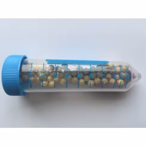 Lysing matrix a 50 ml tube 2x50ml tubes