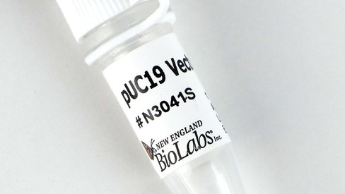 Puc19 dna 250 µg