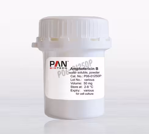 Amphotericine b (fungizone) en poudre hydrosoluble 50 mg