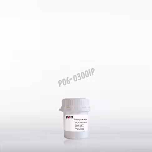 Gentamycine poudre (sulfate) 1 g