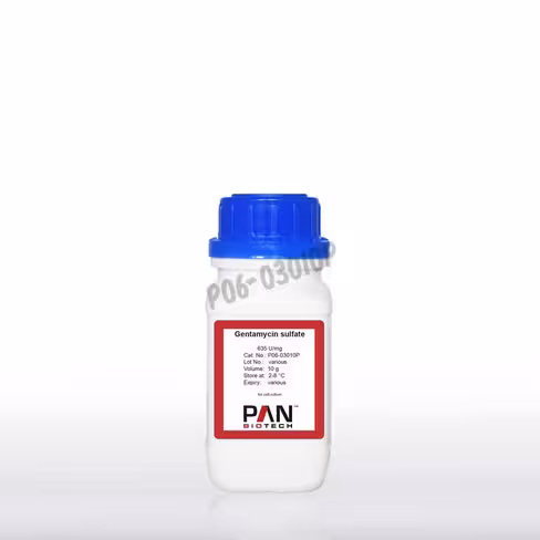 Gentamycine poudre (sulfate) 10 g