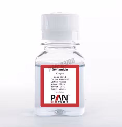 Gentamycine sulfate 10 mg/ml 100 ml