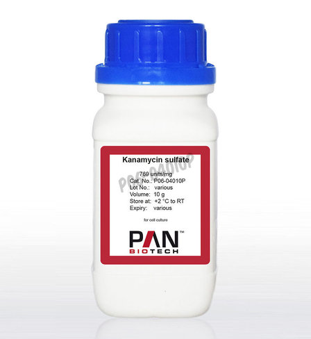 Kanamycine poudre ( sulfate) 10 g