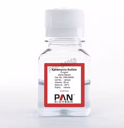 Kanamycine sulfate 5 mg/ml 50 ml