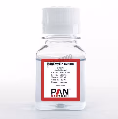 Kanamycine sulfate 5 mg/ml 100 ml
