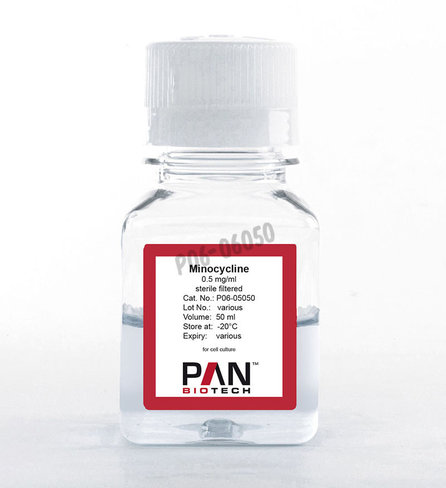 Neomycine (sulfate) 10 mg/ml 50 ml