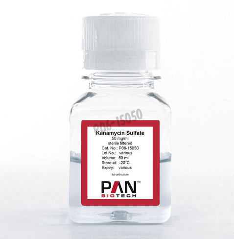 Kanamycine solution 50mg/ml 50 ml