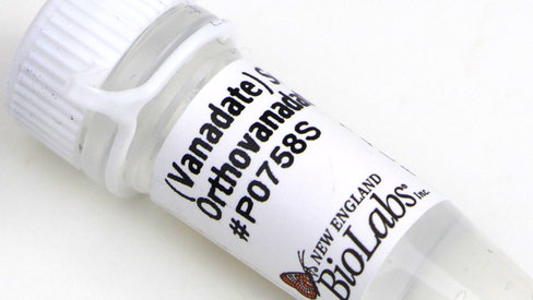 Sodium orthovanadate 5 ml