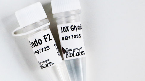 Endo f2 480 units 480 unités