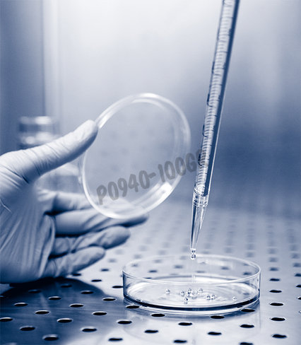 Trypsine - edta 1x lyophilise avec chlorure de sodium - 100g