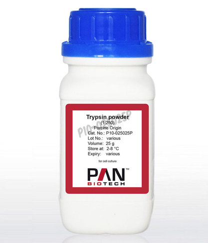 Trypsine poudre (1:250) origine porcine 25 g