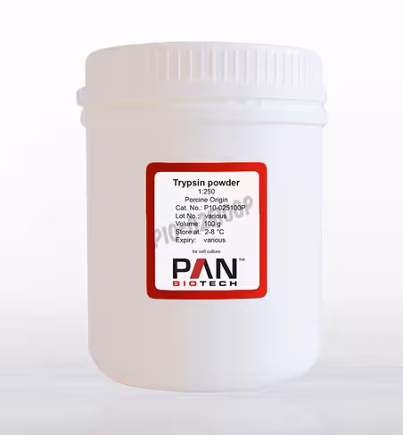 Trypsine poudre (1:250) origine porcine 100 g