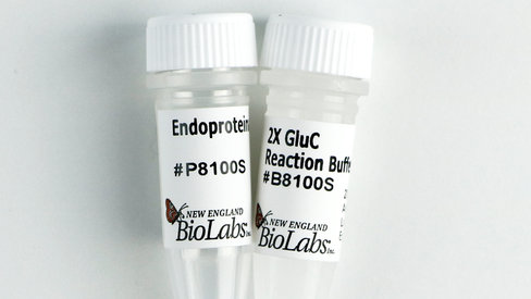 Endoproteinase gluc 50 µg