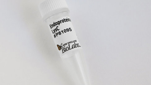 Endoproteinase lysc 20 µg