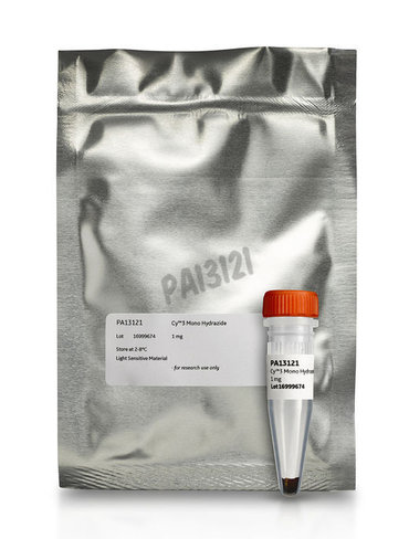 CY3 MONO HYDRAZIDE 1mg