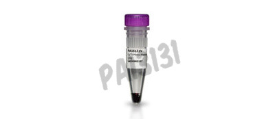 Cy3 mal mono reac.dye 1 mg