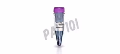 Cy7 mono nhs ester 1 mg