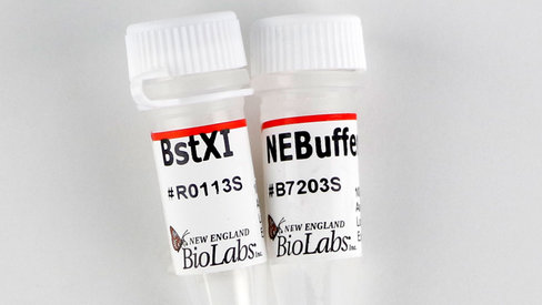 Bstxi recombinant 1000 unités