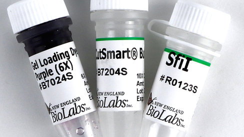 Sfii recombinant 3000 unités