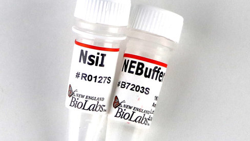 Nsii recombinant 5000 unités