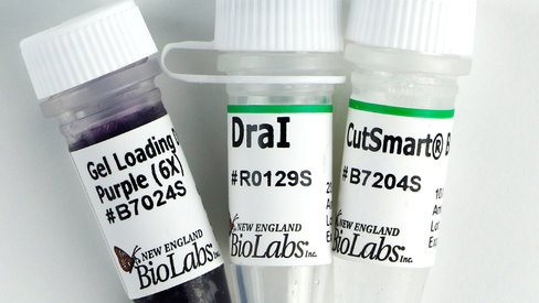 Drai recombinant 2000 unités