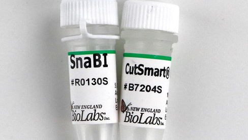 Snabi recombinant 500 unités