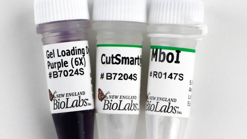 Mboi recombinant 2500 unités