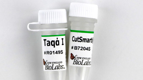 Taqi-v2 20000 unités