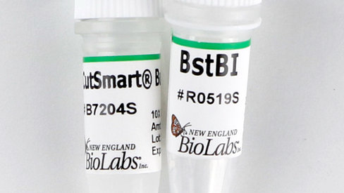 Bstbi recombinant 2500 unités