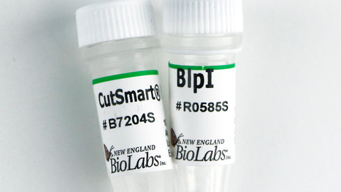 Blpi recombinant 500 unités