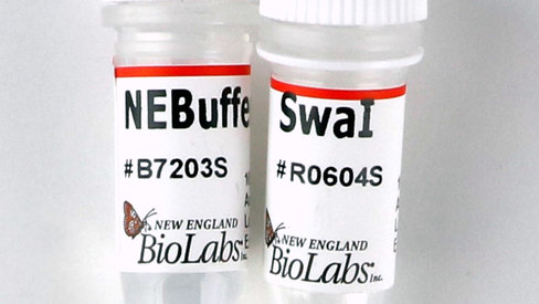 Swai recombinant 2000 unités