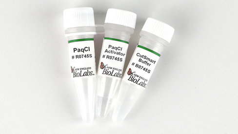 Paqci recombinant 200 unités