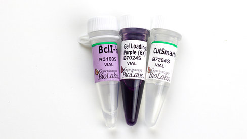 Bcli-hf 15000 unités