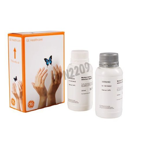 Ecl western blotting detection 250mL ou 2000cm2