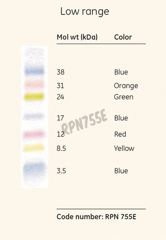 Marker mol weight ecl rainbow low-range 250 µl