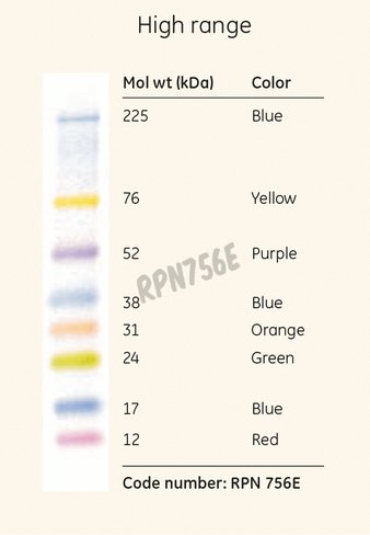 High rng mol wt marker rainbow rpn756e 250 µl