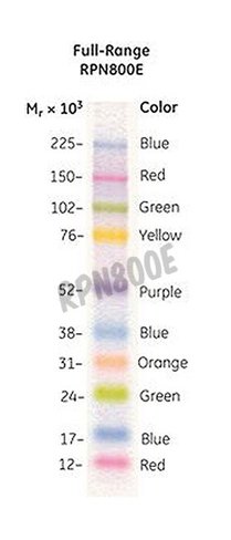 Marqueurs de poids moleculaires rainbow 250 µl