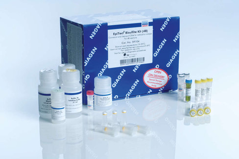 EpiTect Bisulfite Kit (48)